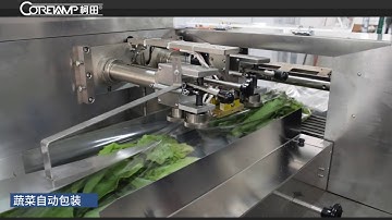 Horizontal Vegetable and fruit flow packaging machine in three servo motors controlled system