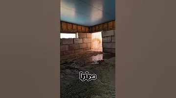 لقد قامت بتربية حيوان نادر بمفردها 