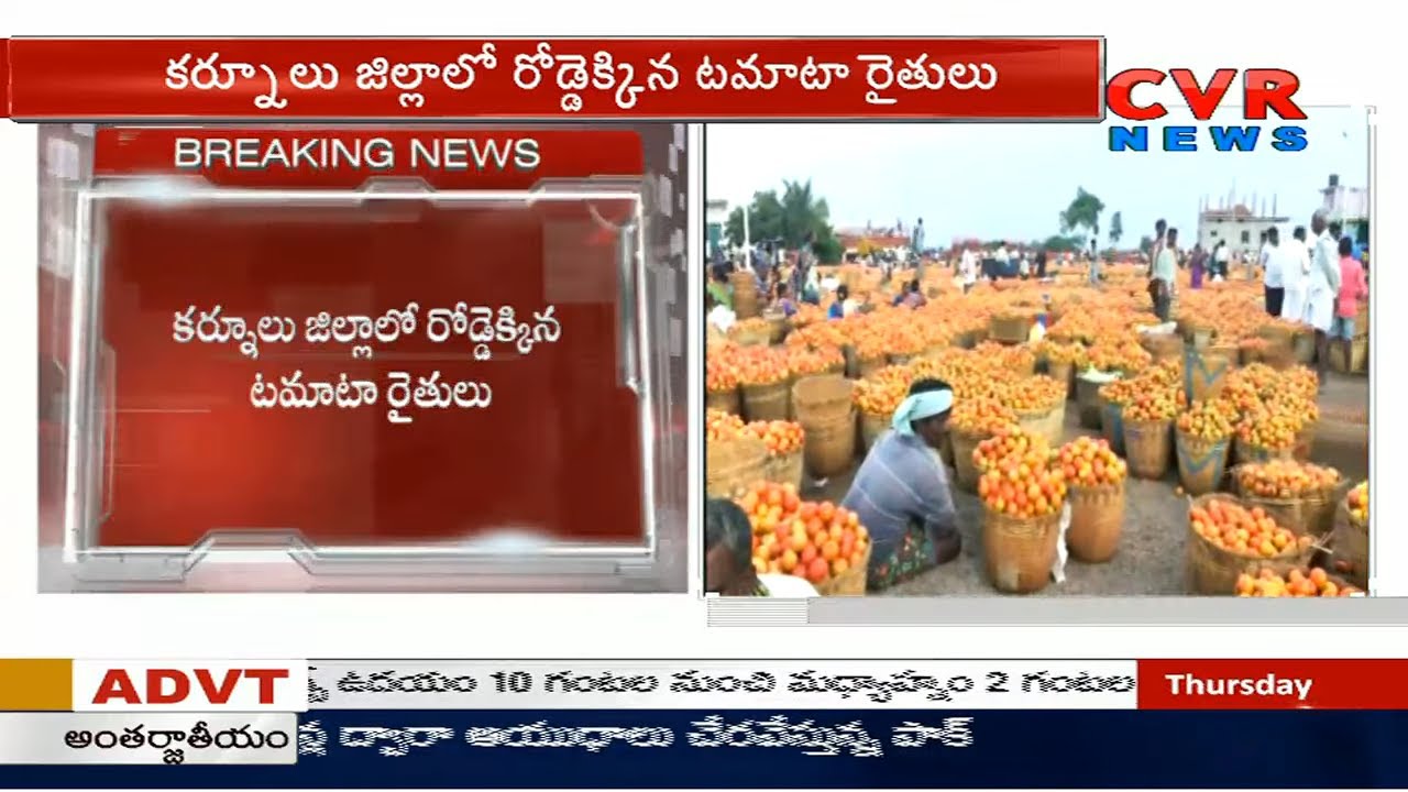 chandrababu actor Tomato Farmers Protest for Minimum Price in Kurnool | CVR News