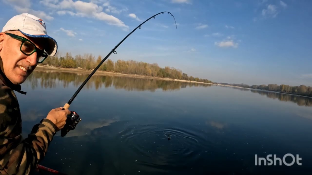 Barbel Fishing sul PO..... Che belle emozioni!!!!!!!!! #pesca #fiume #feeder #fishing #pellet #fish 