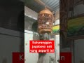 Perkutut katuranggan jogoboyo asli yang seperti ini