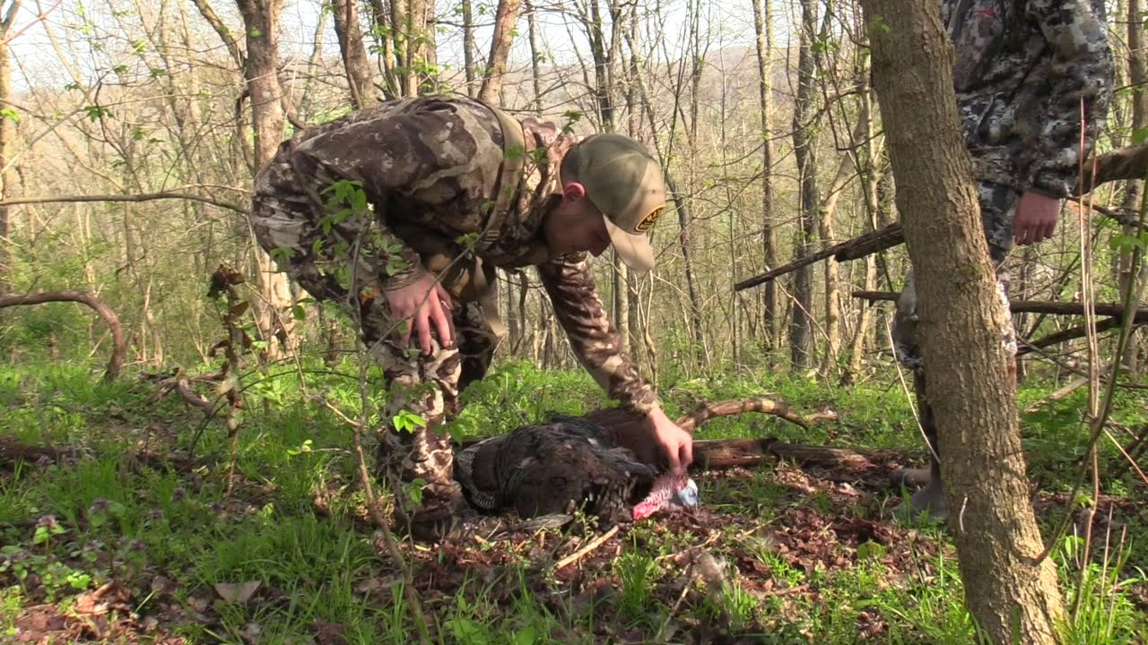 TURKEY HUNTING YouTube