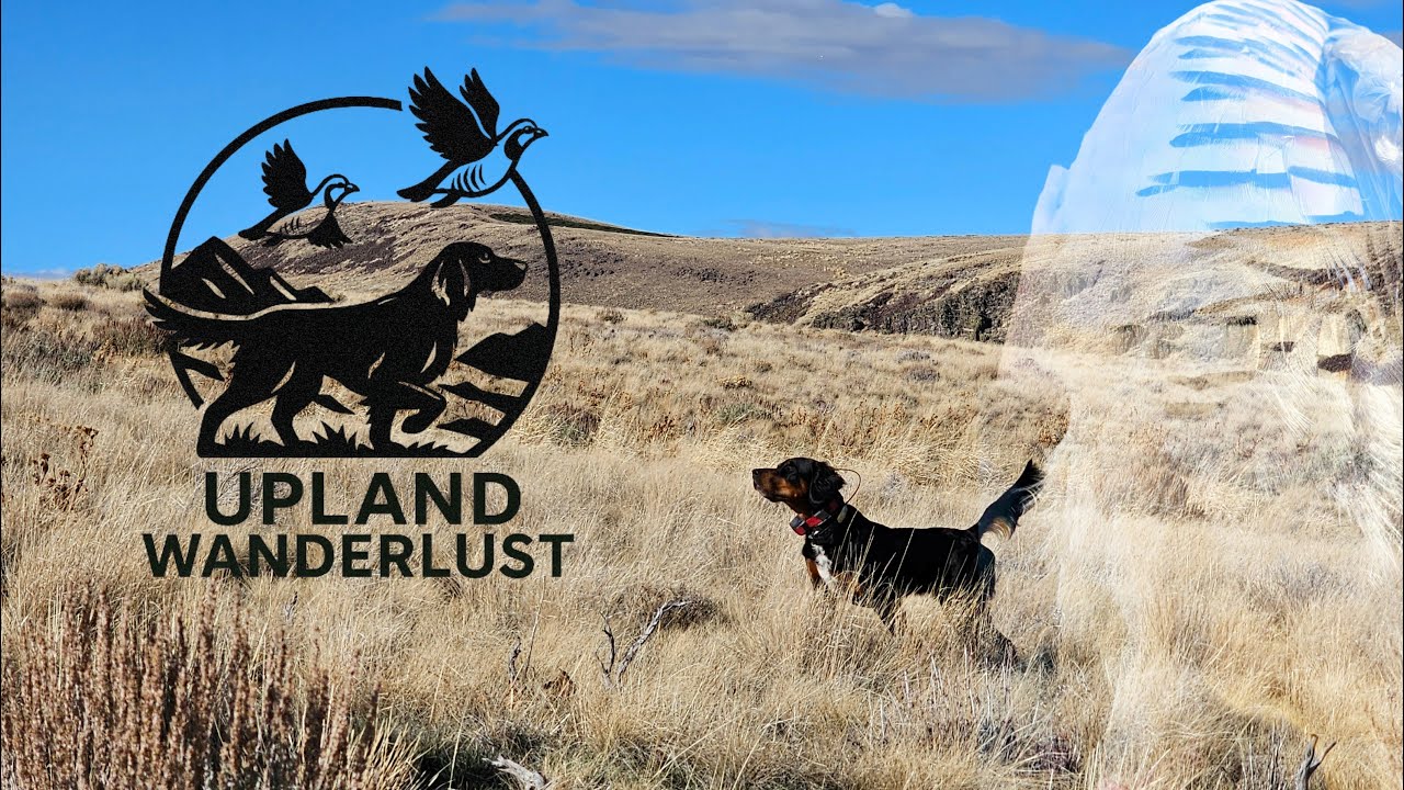 Chukar Hunting | Chukar Camp: Day 8 | Great Hunt by Tank!