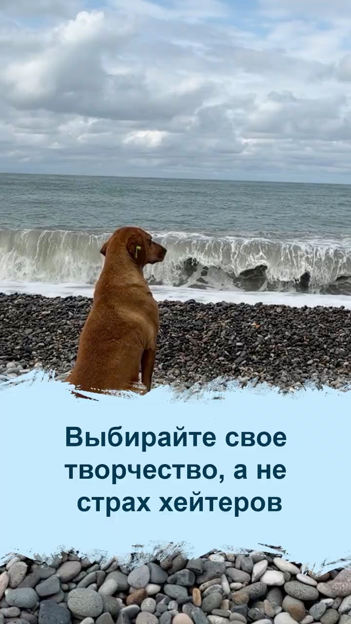 Как начать, если пугает хейт