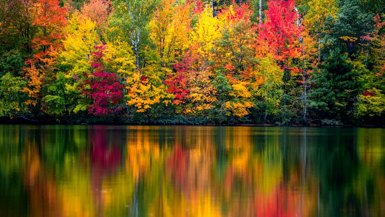 "Golden Autumn Pond" Beautiful Relaxing Music, Peaceful Soothing Instrumental Music by Tim Janis