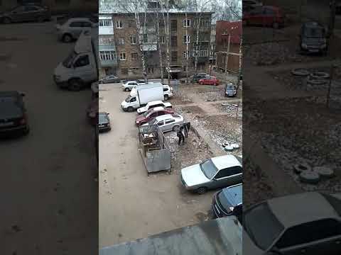Озеленение двора в Сыктывкаре