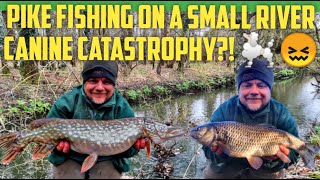 Pike Fishing on a small River in winter - Was This Dog Madness?! (Video 249)