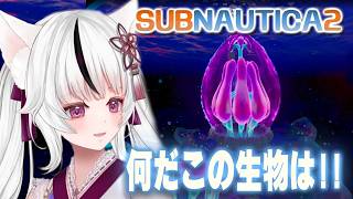 🔴 SUBNAUTICA 2｜Opening the Seas ～ First Time Playing Subnautica｜#1 🌊*ﾟ