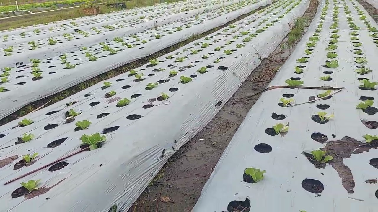 27 de fevereiro de 2026