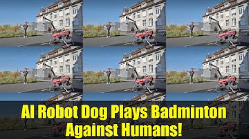 AI Robot Dog Plays Badminton Against Humans!