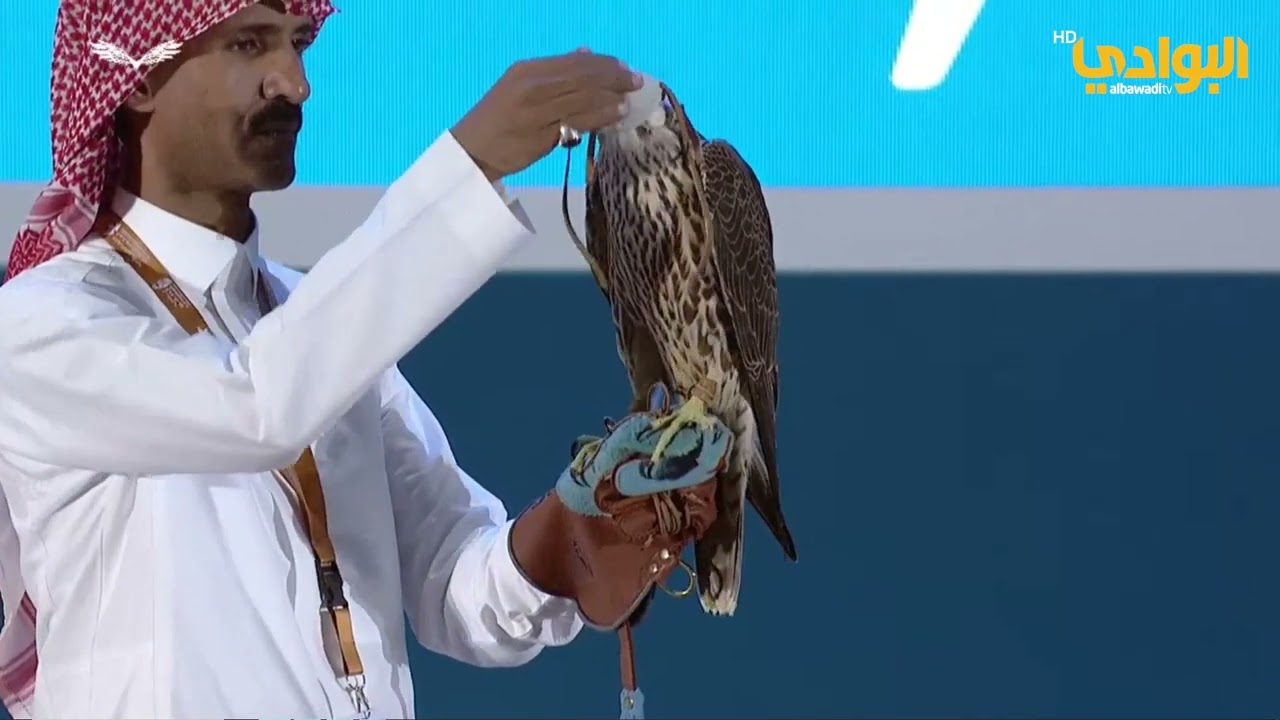 مزاد طرح محلي بنادي الصقور السعودي | لعدد 3 طير شاهين | بتاريخ 17-10-2023