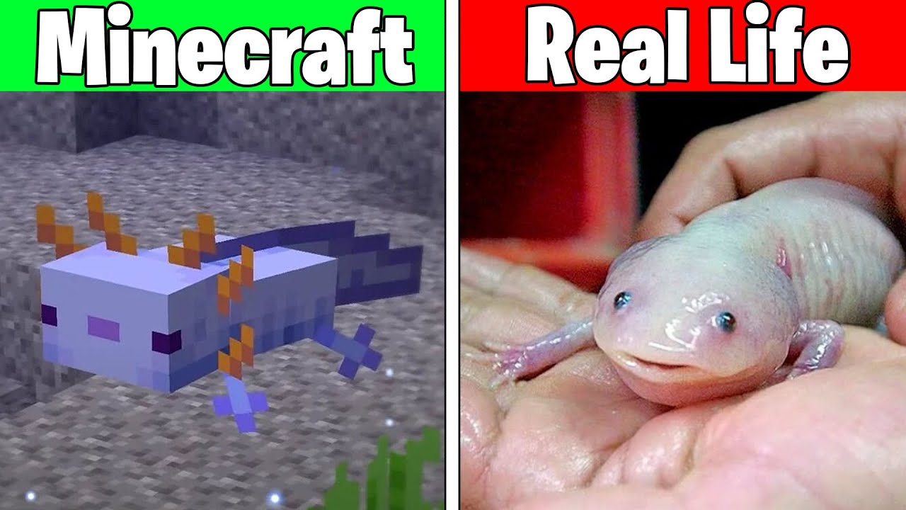 Realistic minecraft Realistic water lava Slime block 191 - YouTube