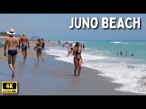 Fun Things to Do in Juno Beach | Travel Guide (2024) | Best Places to Visit