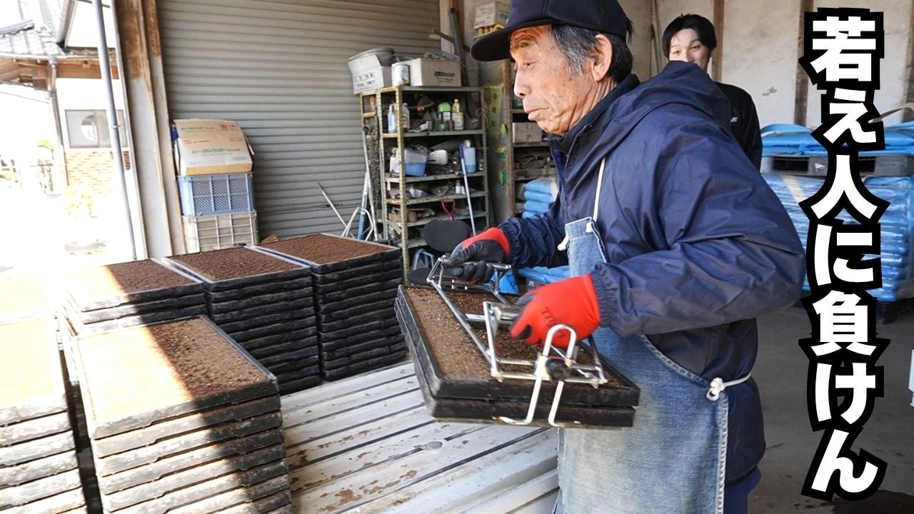 The way we transport seedling trays has been revolutionized 