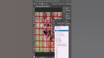 Remove dog Fence in Photoshop #shorts #photoshop #tutorial #photography #photoediting #dog #fence