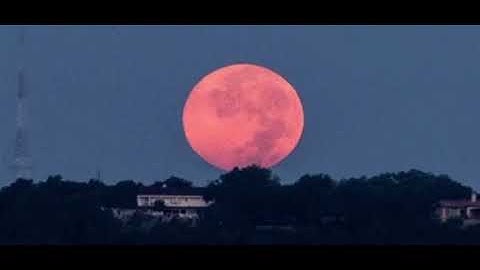 L8 Knight - BTTA 🚀✨