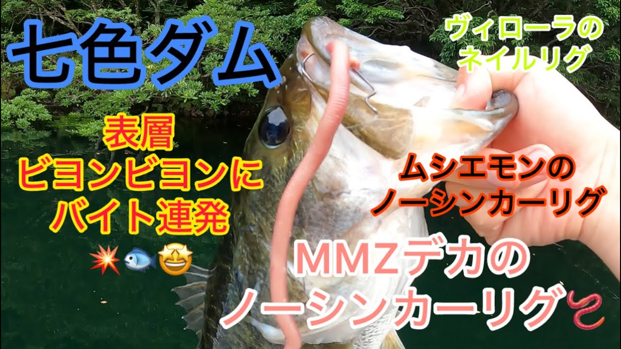 【七色ダム】表層ビヨンビヨンに好反応！ＭＭＺデカでグッドサイズのバスが釣れました☆
