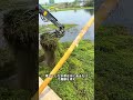 汛期到来前に河道の雑草を除去する#豆知識
