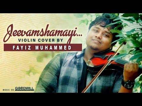 Jeevamshamayi Violin Cover By Fayiz Muhammed | Theevandi | Kailas Menon