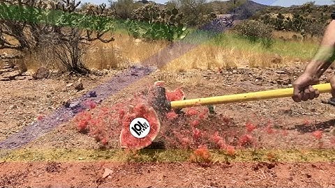 101st.Place - Everything