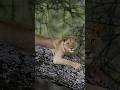 One Tip! One Shot’ #aarzookhurana #photography #learnphotography #photographytips