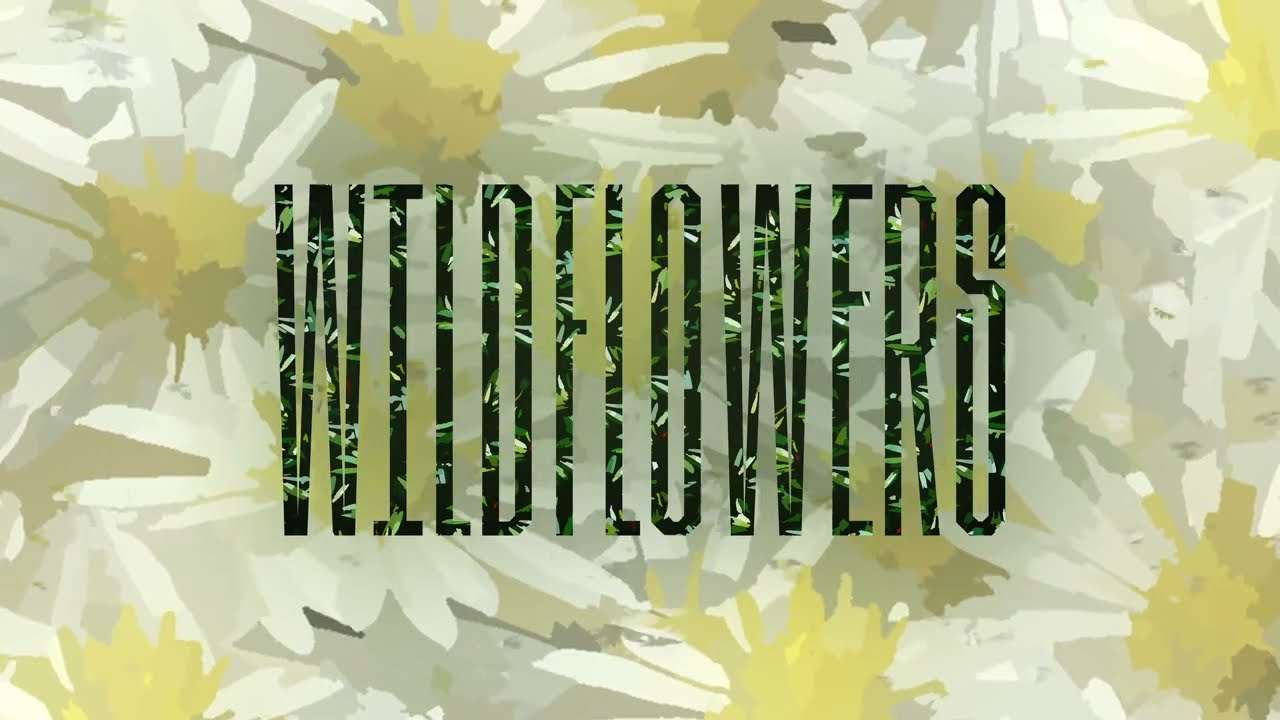 Watch Certainly Something - Wildflowers (Official Lyric Video) on YouTube Watch Certainly Something - Wildflowers (Official Lyric Video) on YouTube