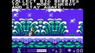 Zoboomafoo, Playtime In Zobooland Usa - Game Boy Color