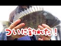 チヌを目指して磯でフカセ釣りリベンジ！そして…【初心者釣り女子】
