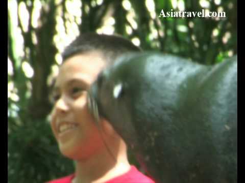 Singapore Zoo 2 by Asiatravel.com