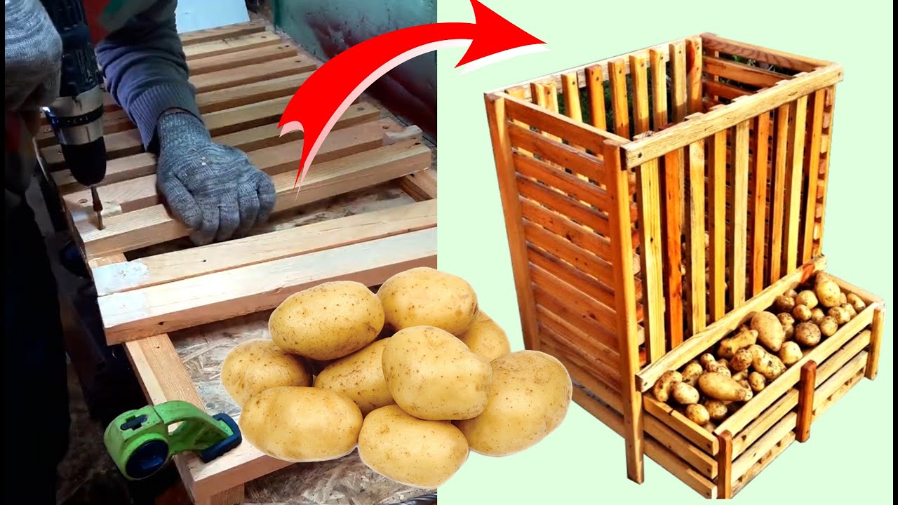 Hacer una CAJA DE MADERA para Almacenar PATATAS Todo el Año 