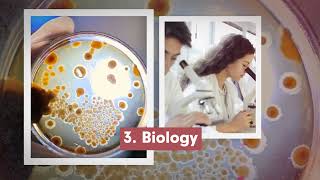 4 Best Majors for Undecided Students