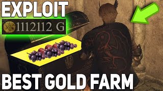 Dragon&#39;s Dogma 2 GOLD FARM MONEY EXPLOIT, Gold Farming Glitch