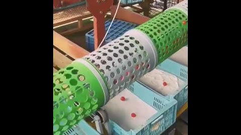 “3D printed tomato sorting machine 🍅  By @ricardpons  Follow @inventionhunters       #3d #art #3da