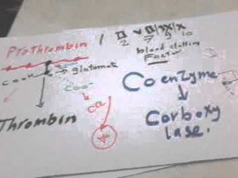 فيتامين ك د محمد رجب