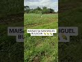 #shortvideo #farmerslife ##buhayfarmer #magsasaka #corn