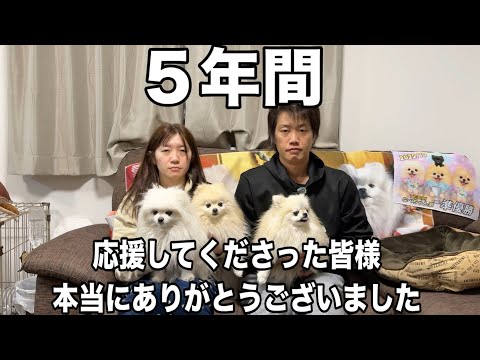 愉快な3姉妹ポメラニアン1月をもって終わります