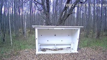 Bus stop (timelapse 24h in 1m)