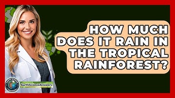 How Much Does It Rain In The Tropical Rainforest? - Earth Science Answers