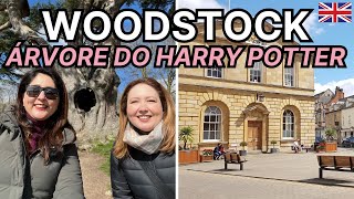 Woodstock no interior da Inglaterra e a árvore do Harry Potter