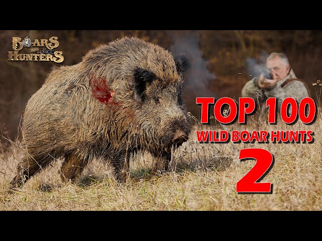 Top 100 wild boar hunts of Boars and Hunters SEASON 2 class=