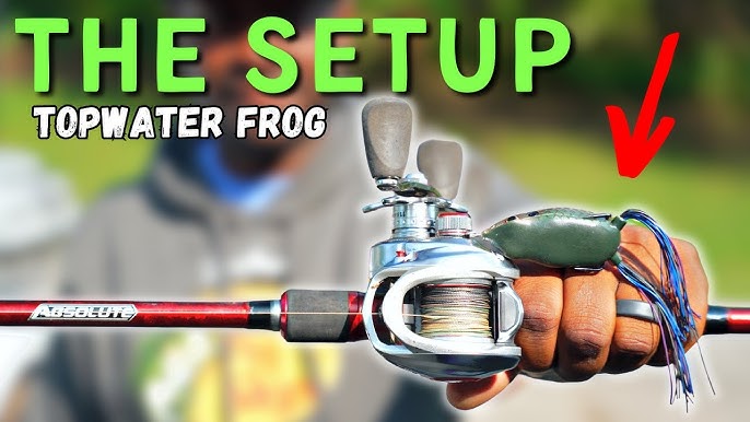 Topwater Frog Fishing for Bass 