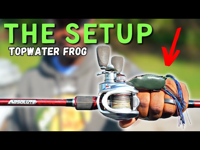 My FAVORITE Setup For Topwater Frog Fishing 