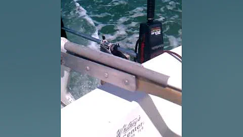 Sailing in my Renken 18 / Tangerine 18 sailboat