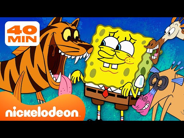 Setiap Makhluk yang Pernah Ada dari SpongeBob SquarePants! | Kompilasi 40 Menit | Nickelodeon Bahasa class=