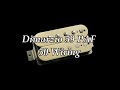 Dimarzio 59 paf bridge vs gibson burstbucker 2 bridge  50s wiring