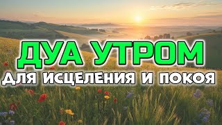 ДУА ДЛЯ ГЛУБОКОГО ИСЦЕЛЕНИЯ И ПОКОЯ! 🤲🕊️