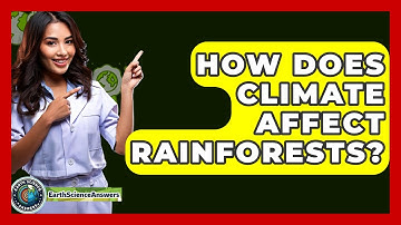 How Does Climate Affect Rainforests? - Earth Science Answers