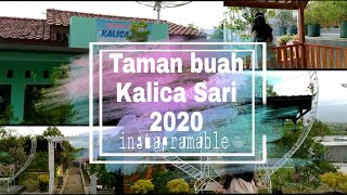 TAMAN BUAH BUMIAYU | KALICA SARI 2020 | WISATA BUMIAYU | By Sinta Sintiana