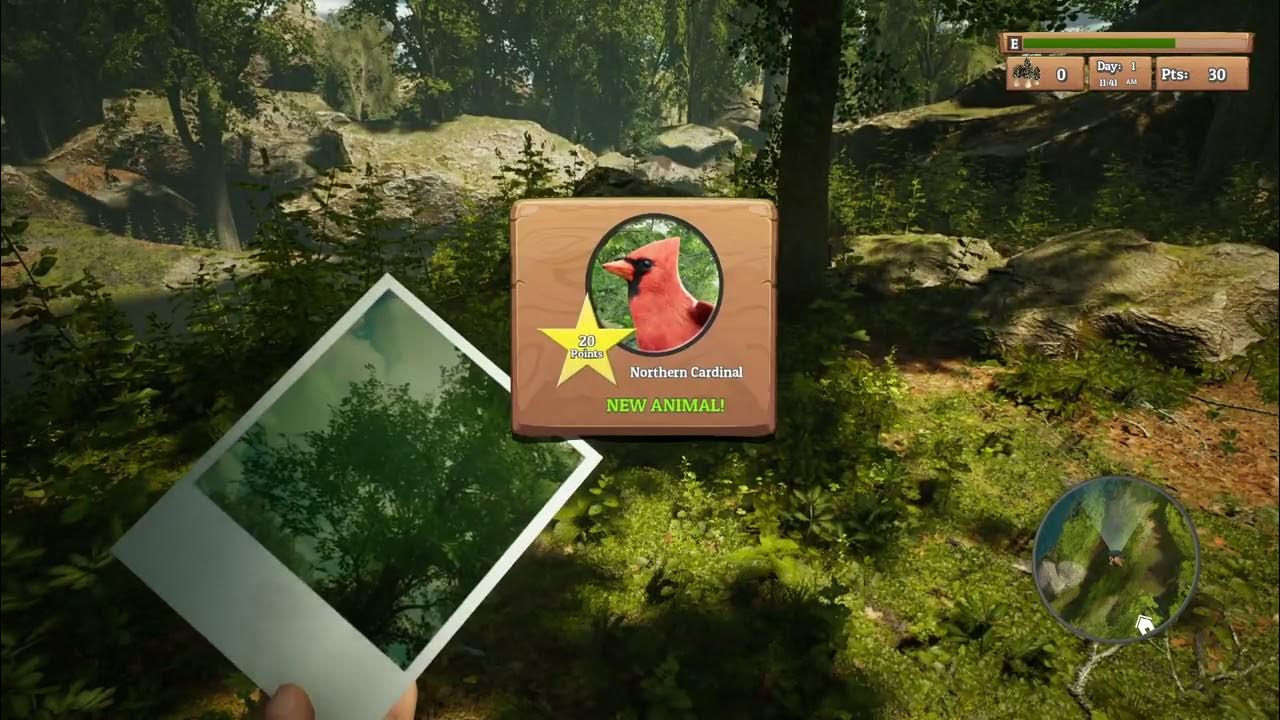 Morels The Hunt gameplay (pc videogame) YouTube