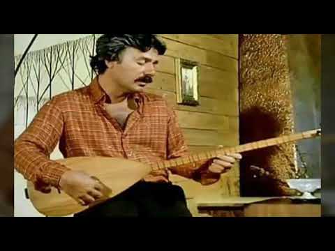 Ferdi Tayfur - Sevda Yelleri ♡ plak  eski kayıt